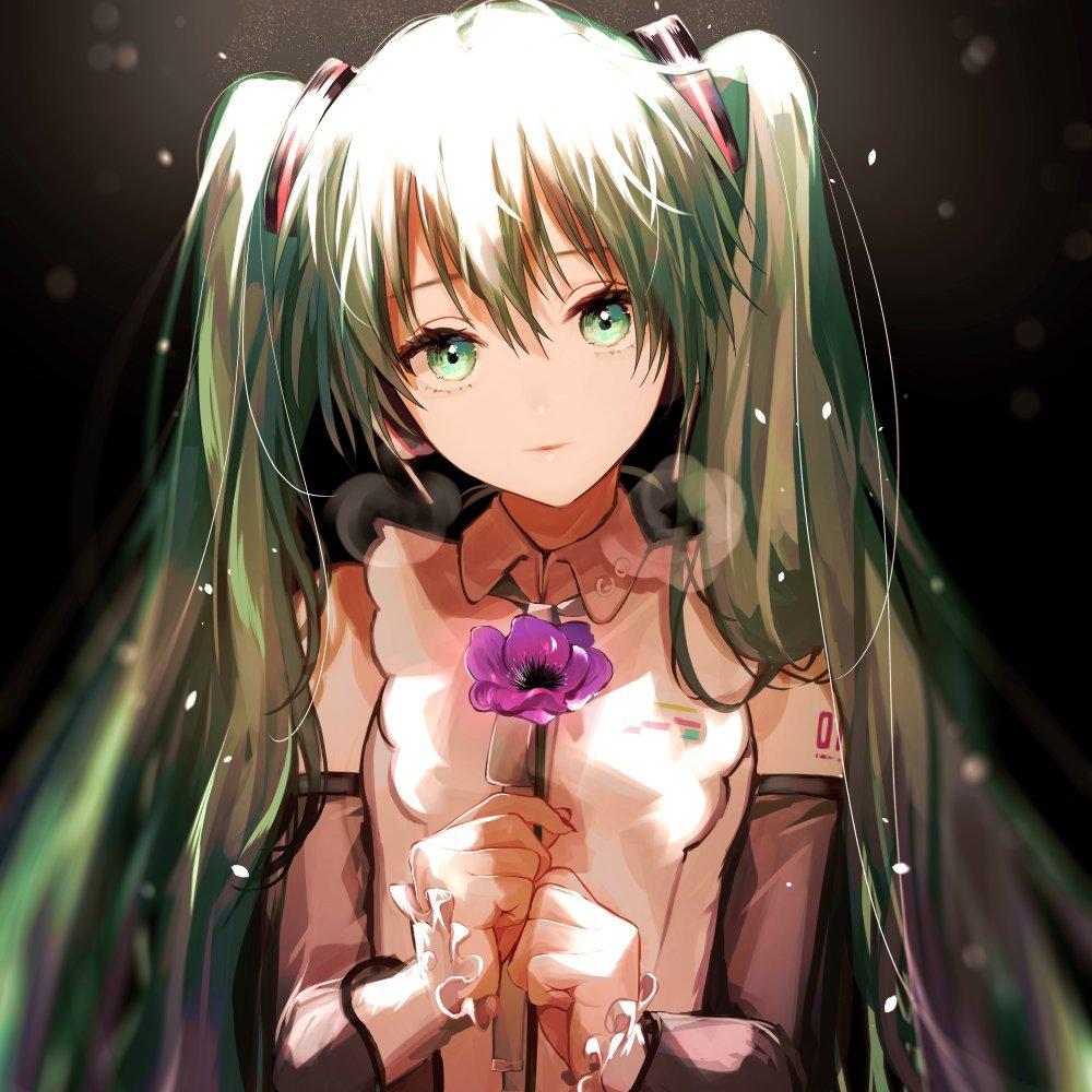 公主殿下初音miku~