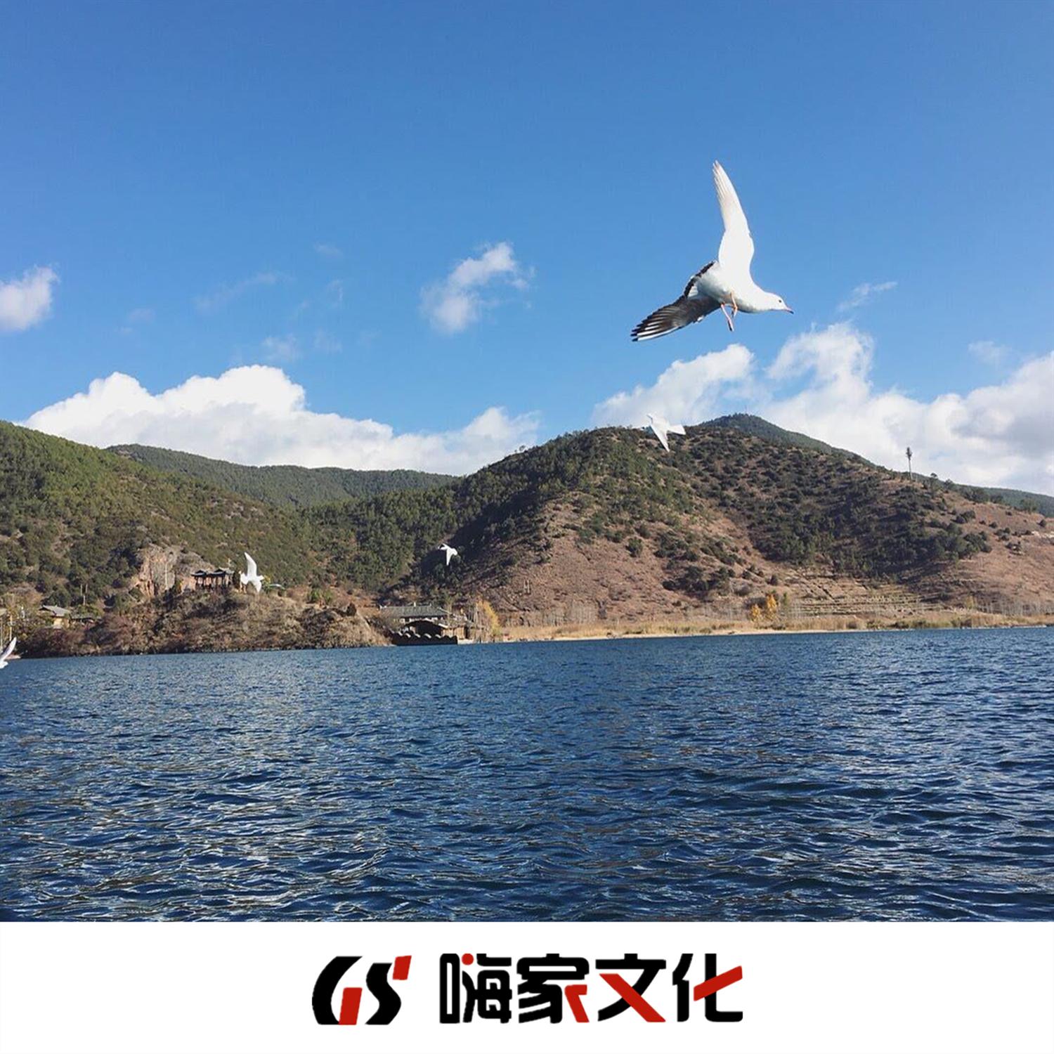 愿你成为自己的太阳