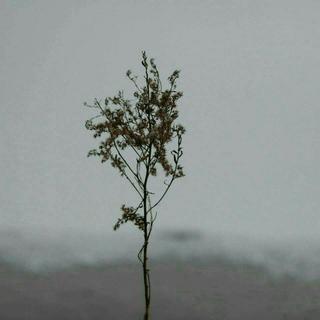 超好听的民谣呀