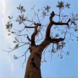 疗愈手册 | 普通的你也值得被万般宠爱