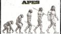 Evolution From Apes专辑