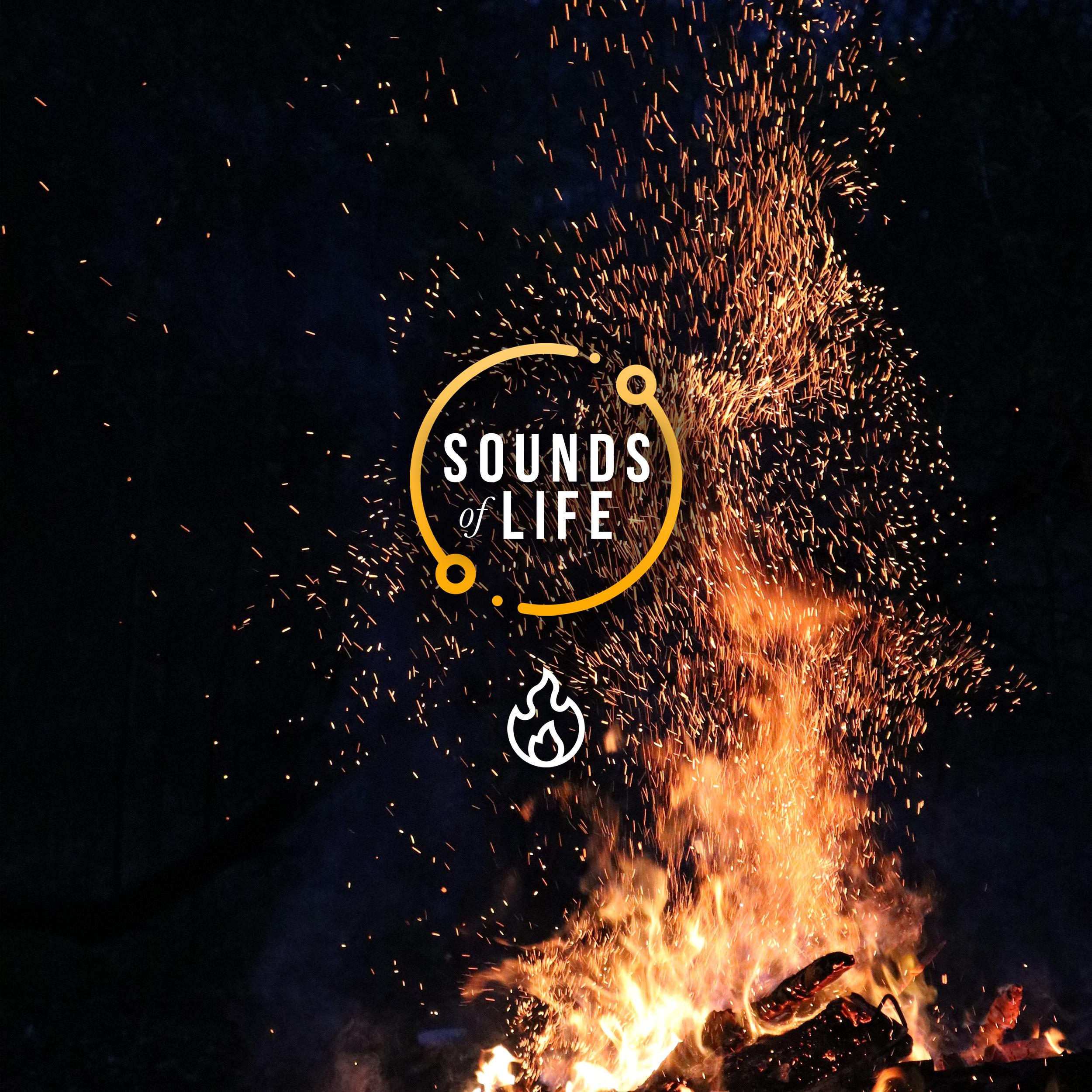 Fire with Crackles