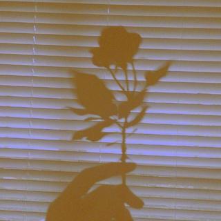 相守 丨 择一城终老·遇一人白首