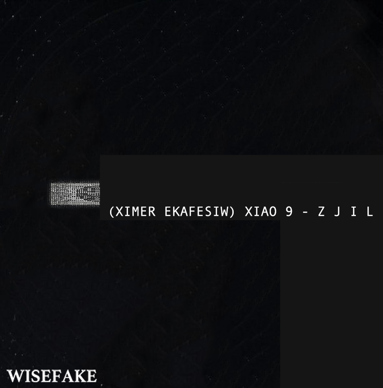 lijz - 九霄 (WISEFAKE REMIX)专辑