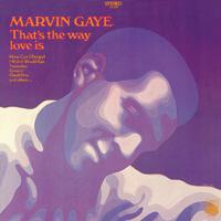 That\'s The Way Love Is - Marvin Gaye (karaoke)