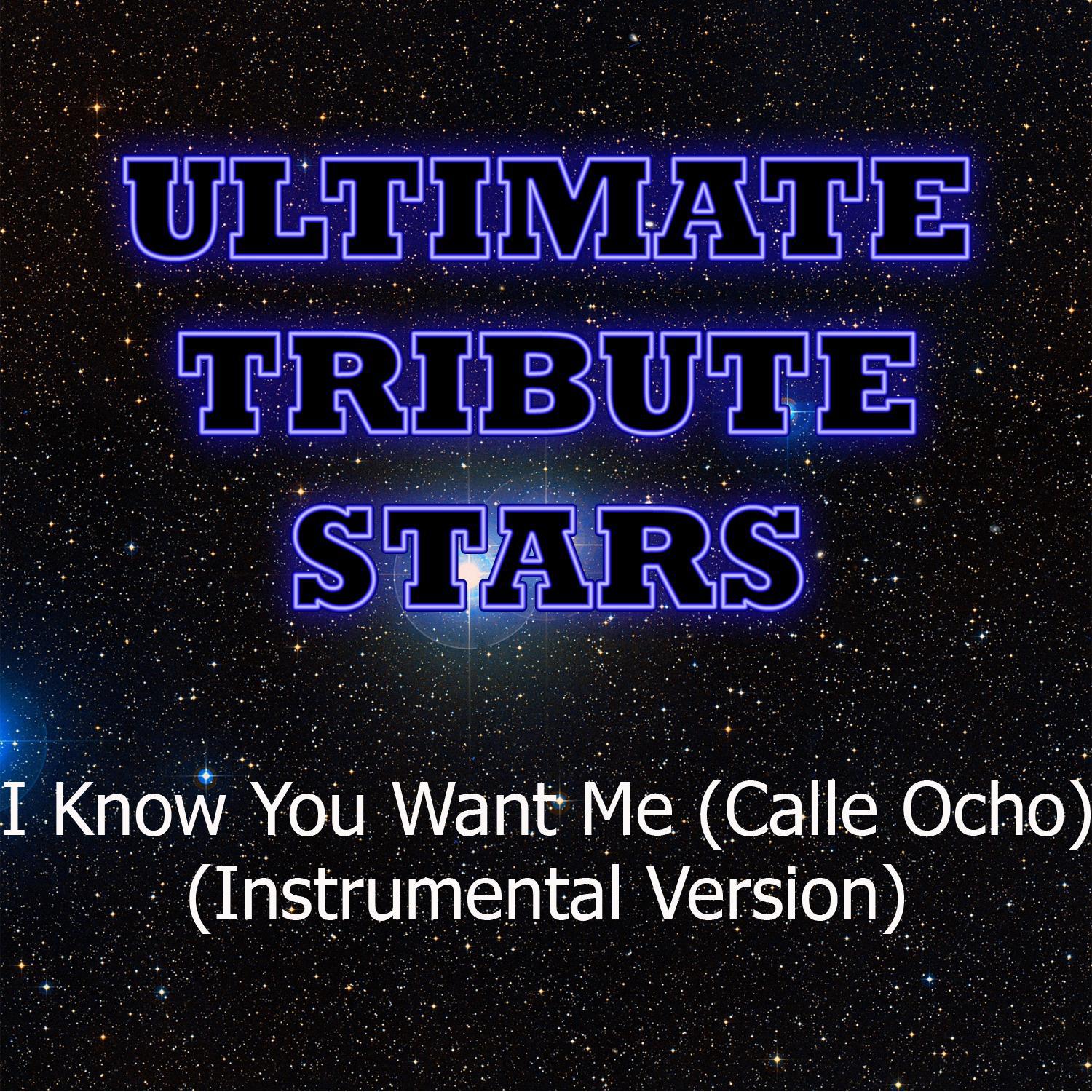 Pitbull - I Know You Want Me (Calle Ocho) (Instrumental Version)专辑