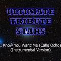 Pitbull - I Know You Want Me (Calle Ocho) (Instrumental Version)