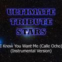 Pitbull - I Know You Want Me (Calle Ocho) (Instrumental Version)专辑