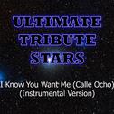 Pitbull - I Know You Want Me (Calle Ocho) (Instrumental Version)专辑