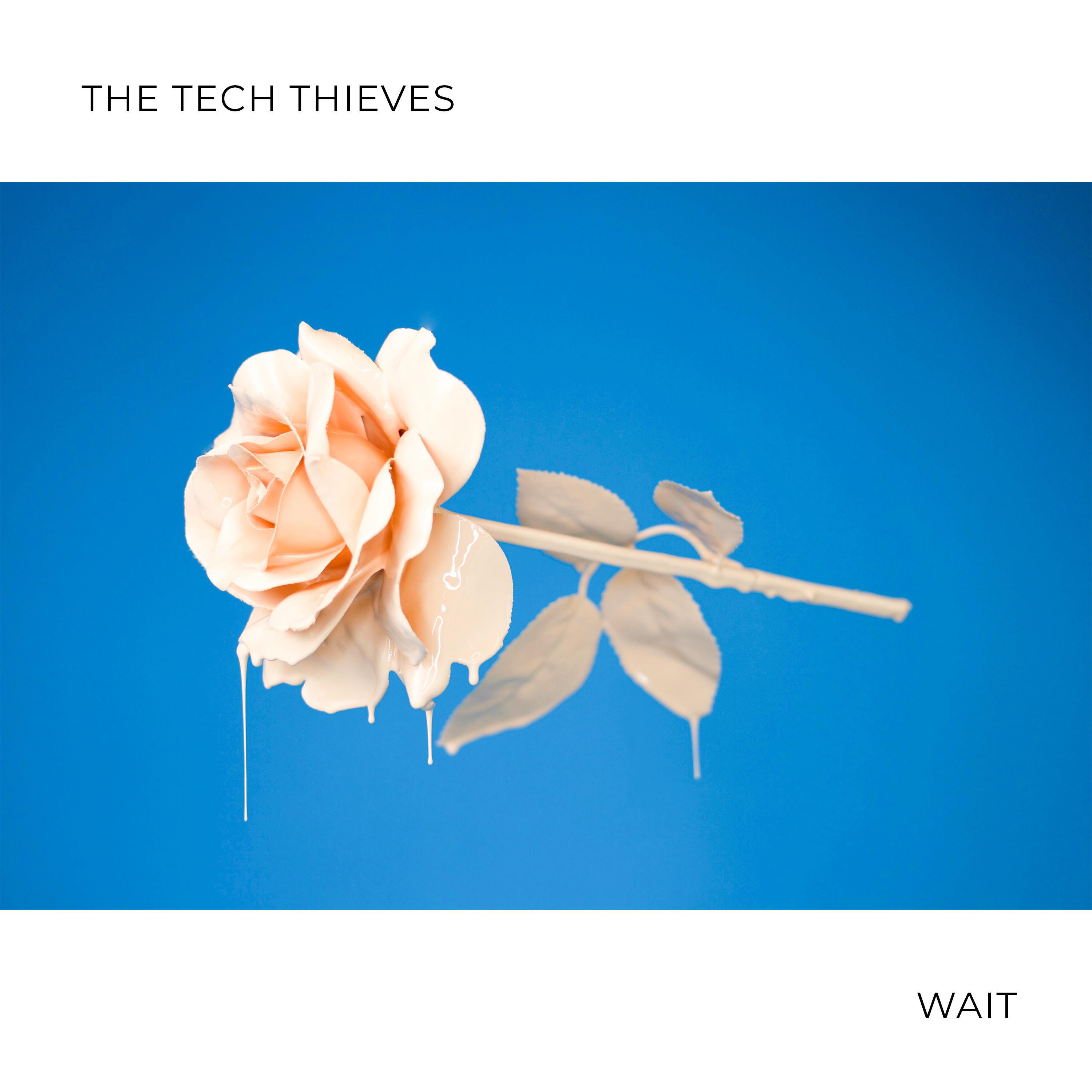 The Tech Thieves - Wait