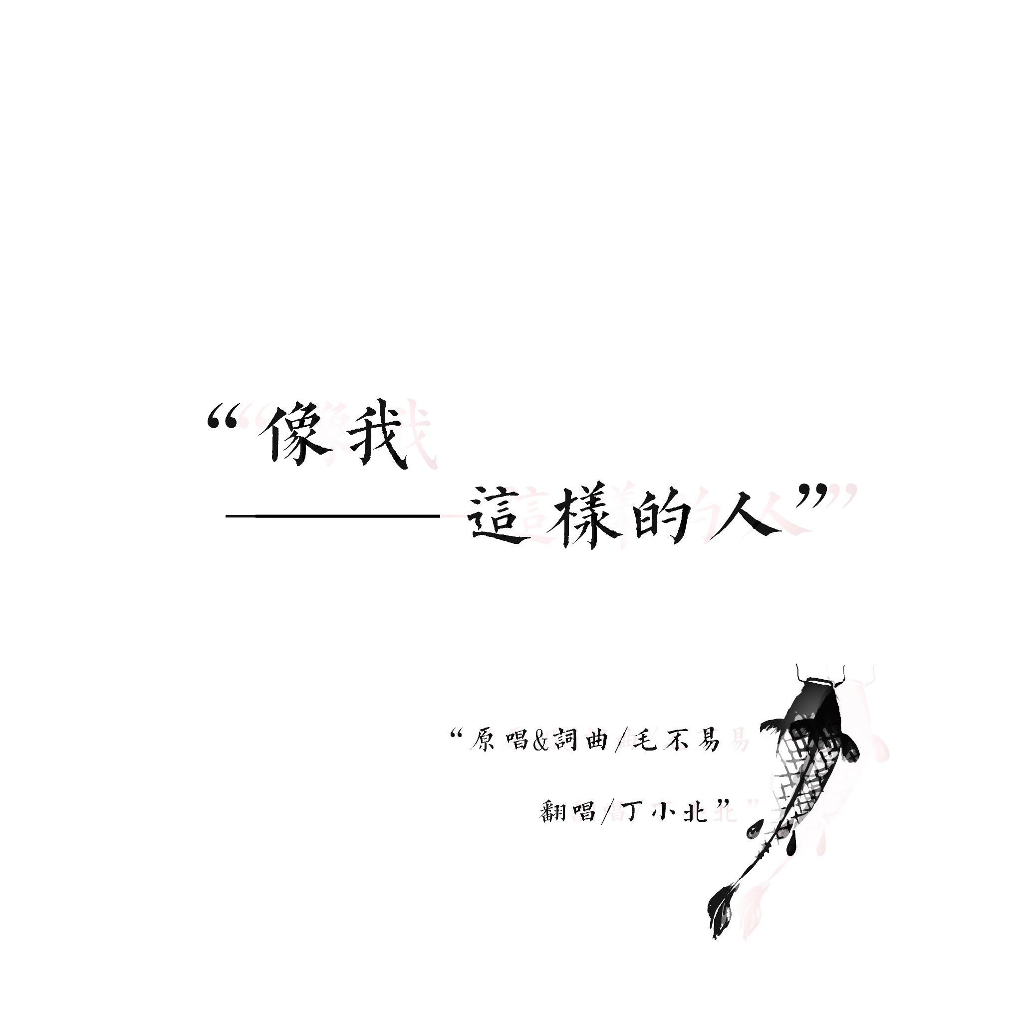 像我这样的人(cover 毛不易)