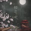 一诺情长【ft.宫南】专辑