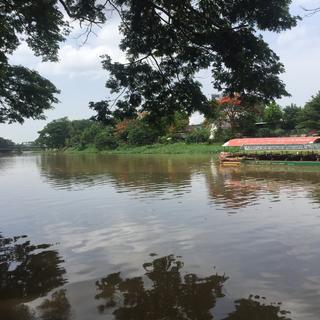 【轻音乐】独乐乐不如众乐乐～