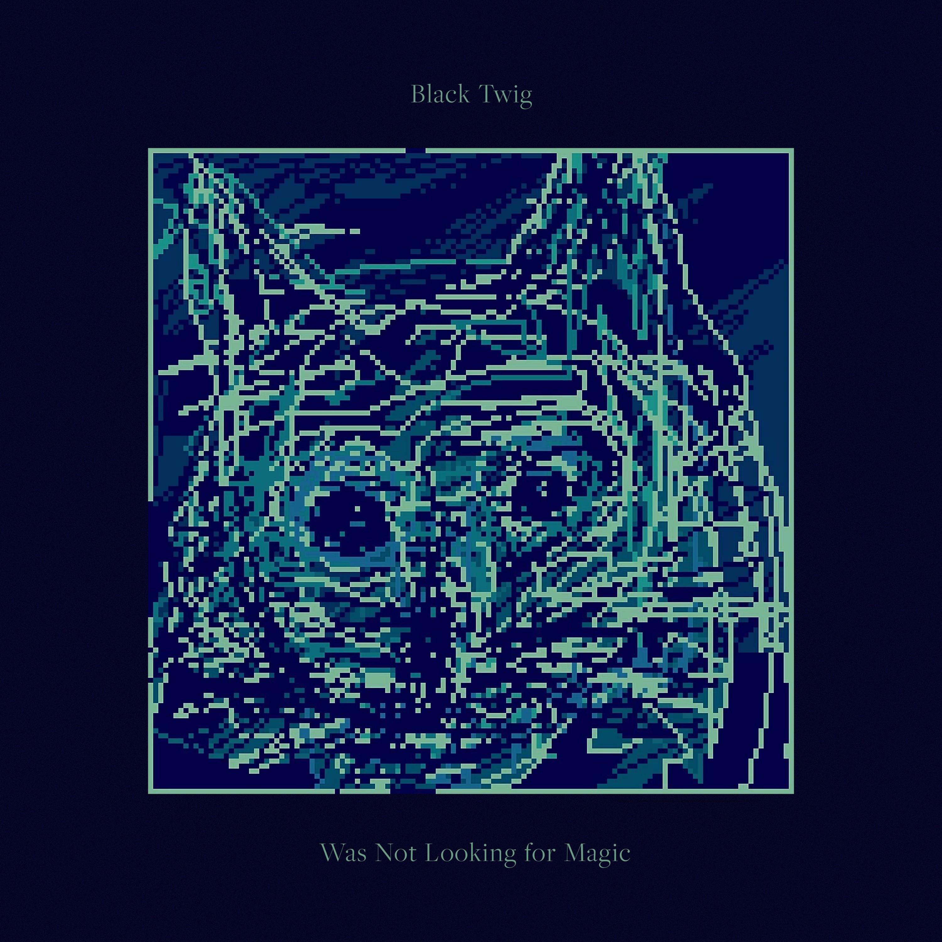 Was Not Looking for Magic