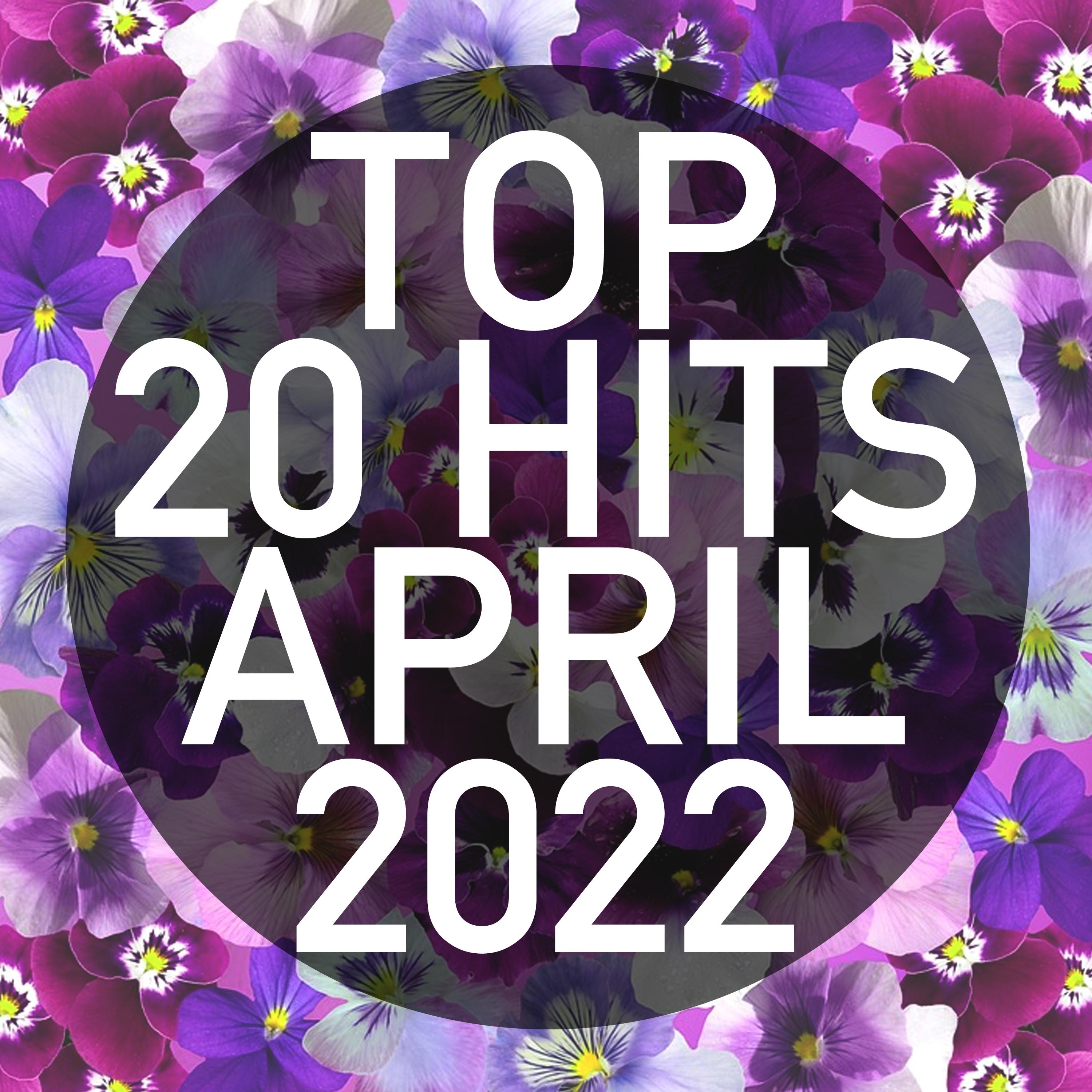 The Joker and The Queen (Instrumental)