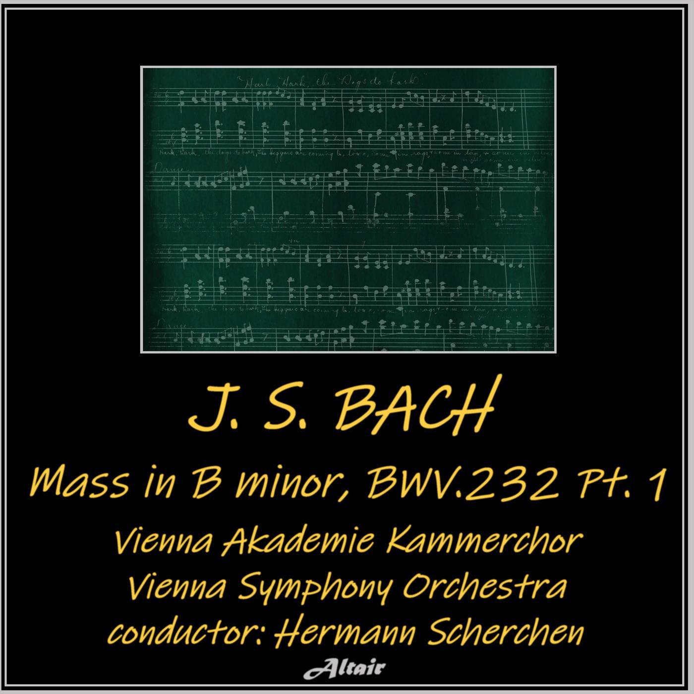 Vienna Symphony Orchestra - Mass in B-Minor, BWV 232: NO. 8. Domine Deus