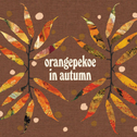 Orangepekoe in Autumn专辑