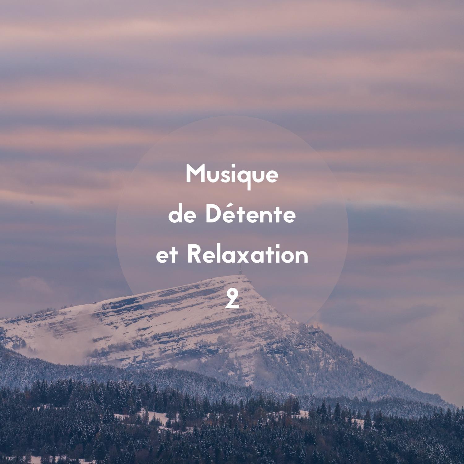 Musique de détente et relaxation, Vol. 2