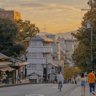 「清新自然」清晨将你的大脑轻轻唤醒