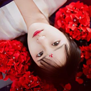 眉心一点朱砂 染就一树芳华