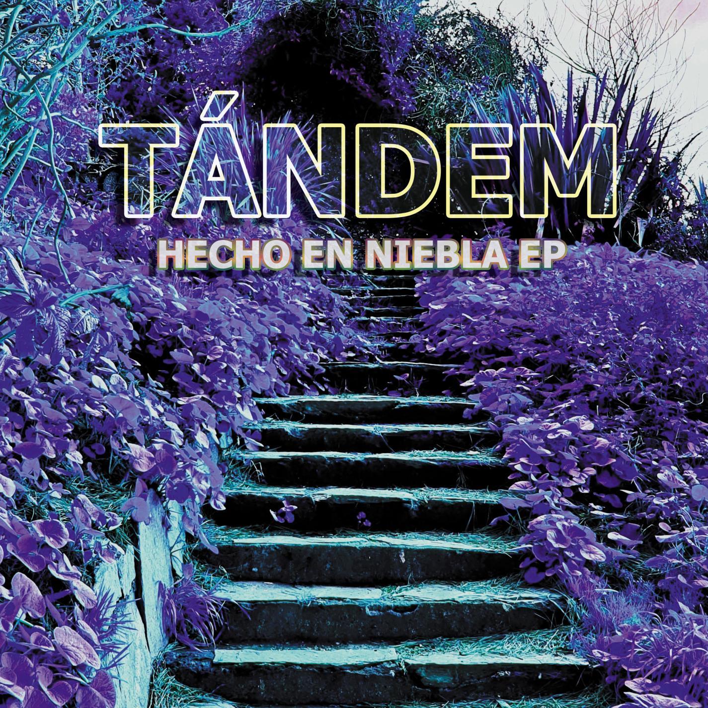 Hecho en Niebla EP