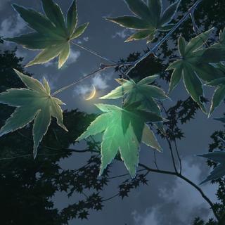 开场就能让你沦陷的电子音乐