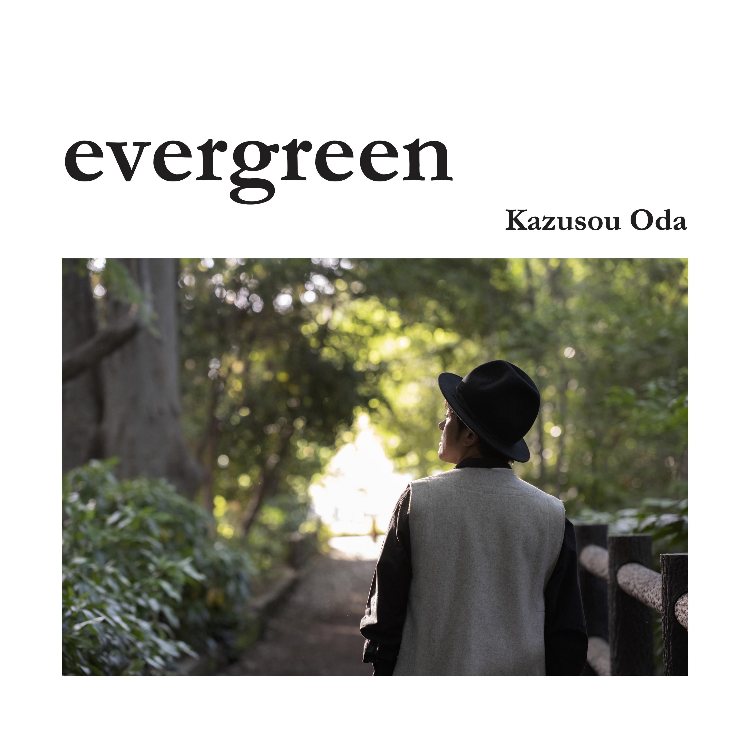 evergreen