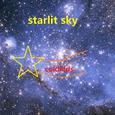 starlit sky