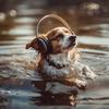 Music For Dogs - River's Calm Canine Retreat