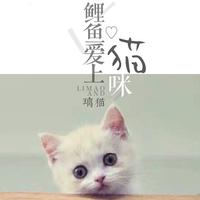 璃猫 - 鲤鱼爱上猫咪