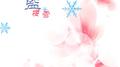 《蓝樱雪》专辑