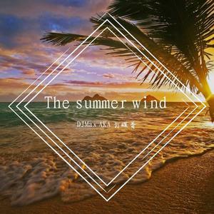 The Summer Wind - Barry Manilow (AM karaoke) 带和声伴奏
