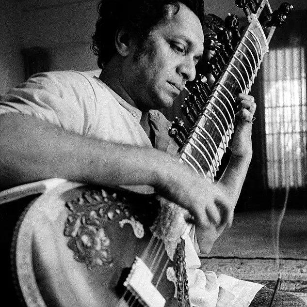 【西塔琴】Sitar