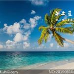 海之蓝专辑