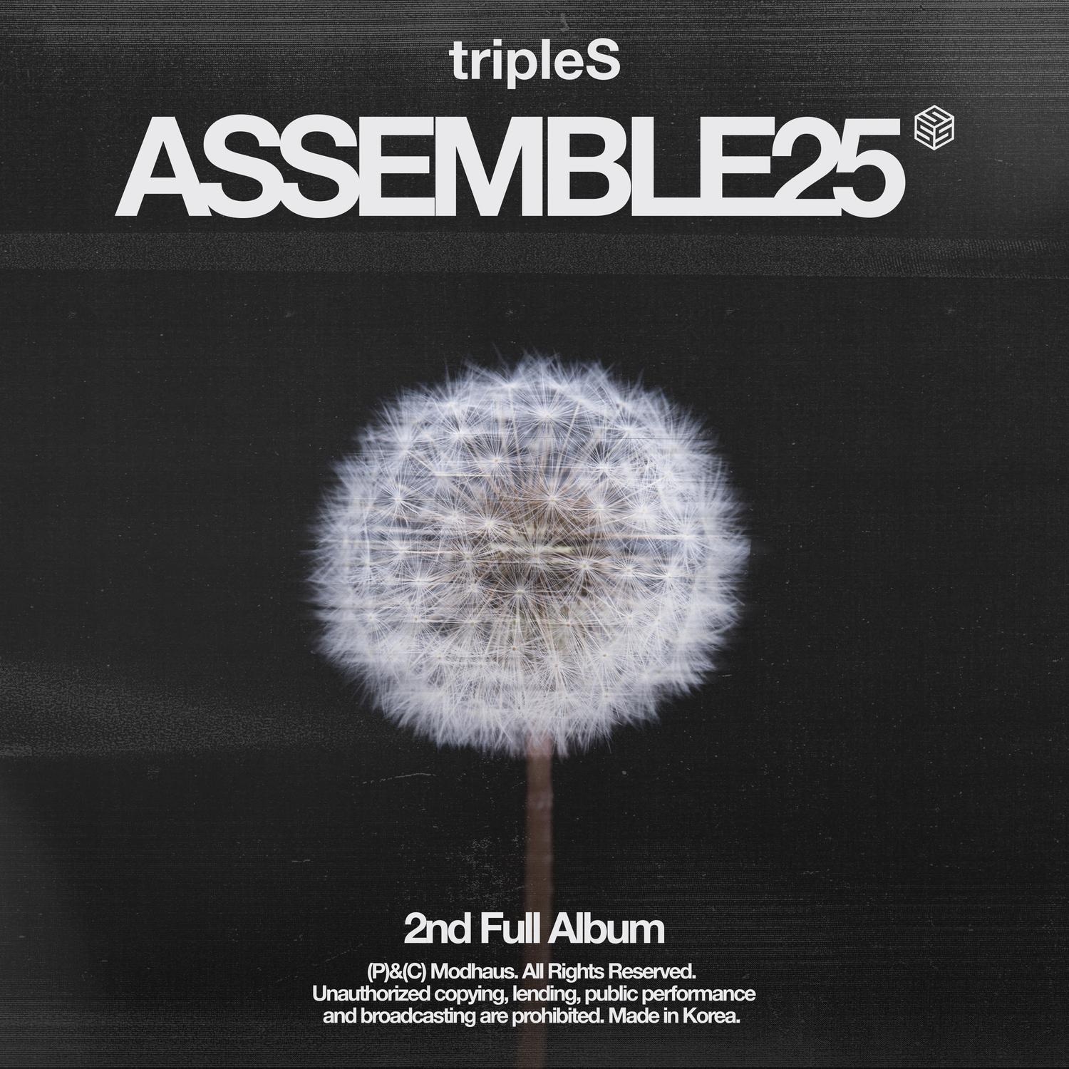 <ASSEMBLE25>专辑