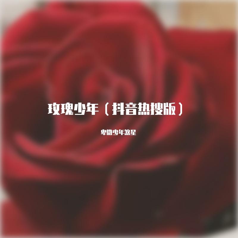 玫瑰少年（抖音热搜版）