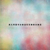 亨德尔降B大调双簧管协奏曲 Ⅳ 乐队伴奏