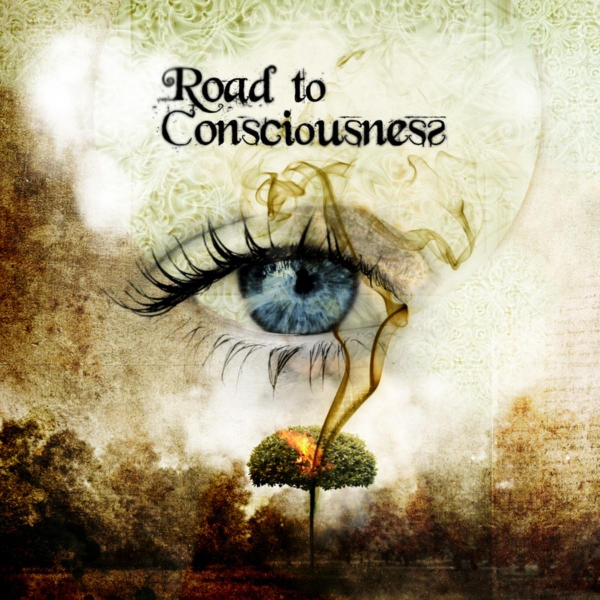 Road To Consciousness