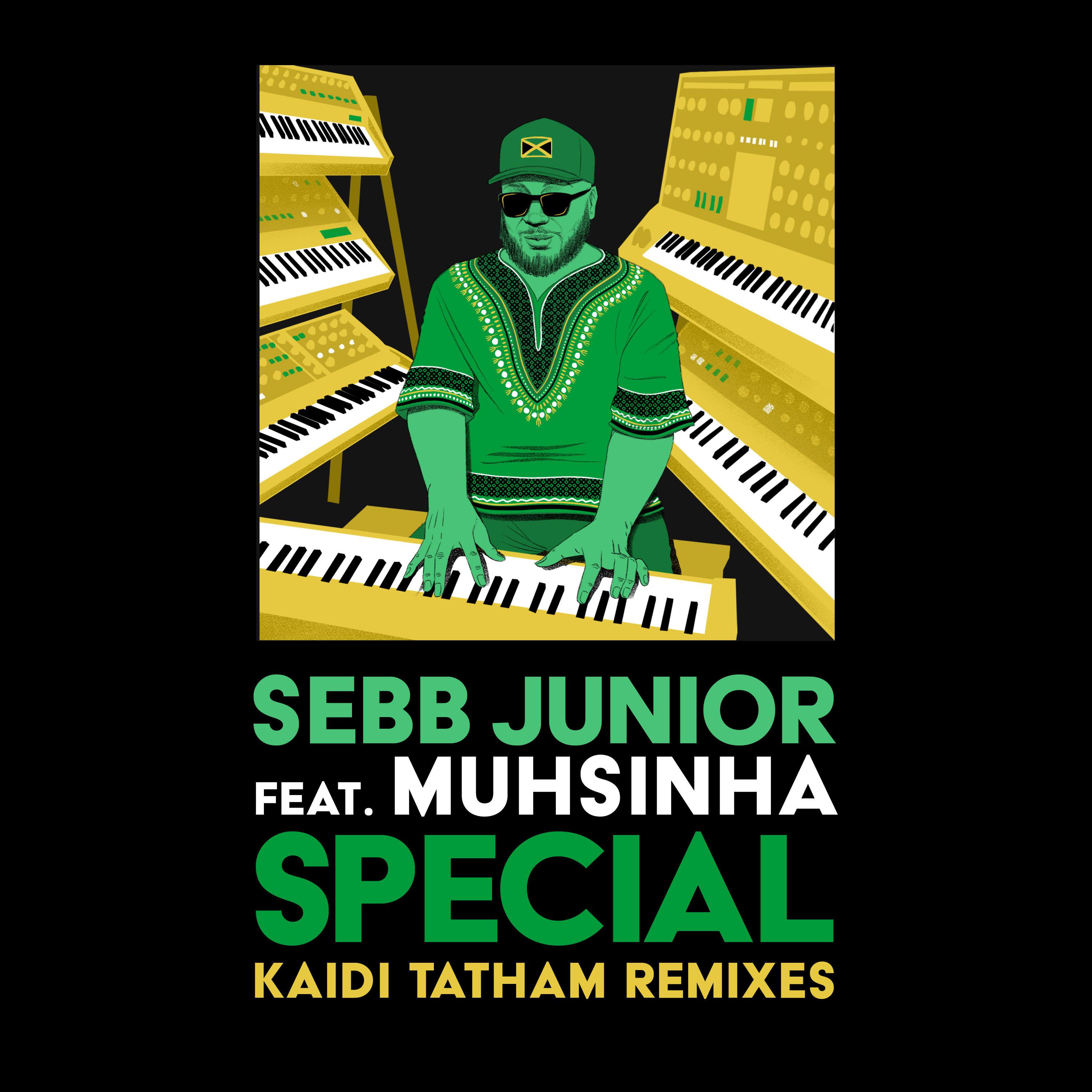 Sebb Junior - Special (Kaidi Tatham Instrumental Remix)