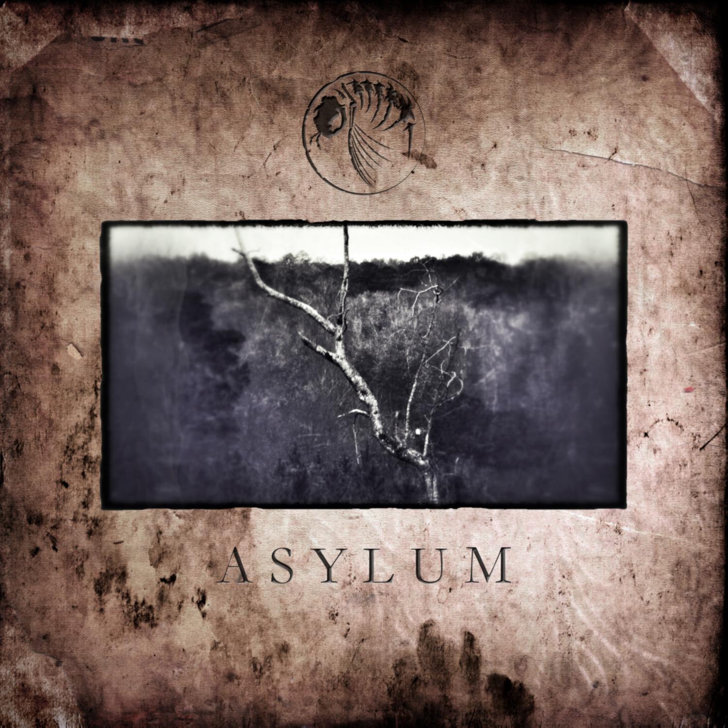 Asylum