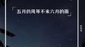 五月的风等不来六月的雨专辑