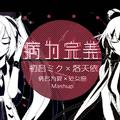 【初音未来×洛天依】病为完美(处女座×病名为爱Mashup)