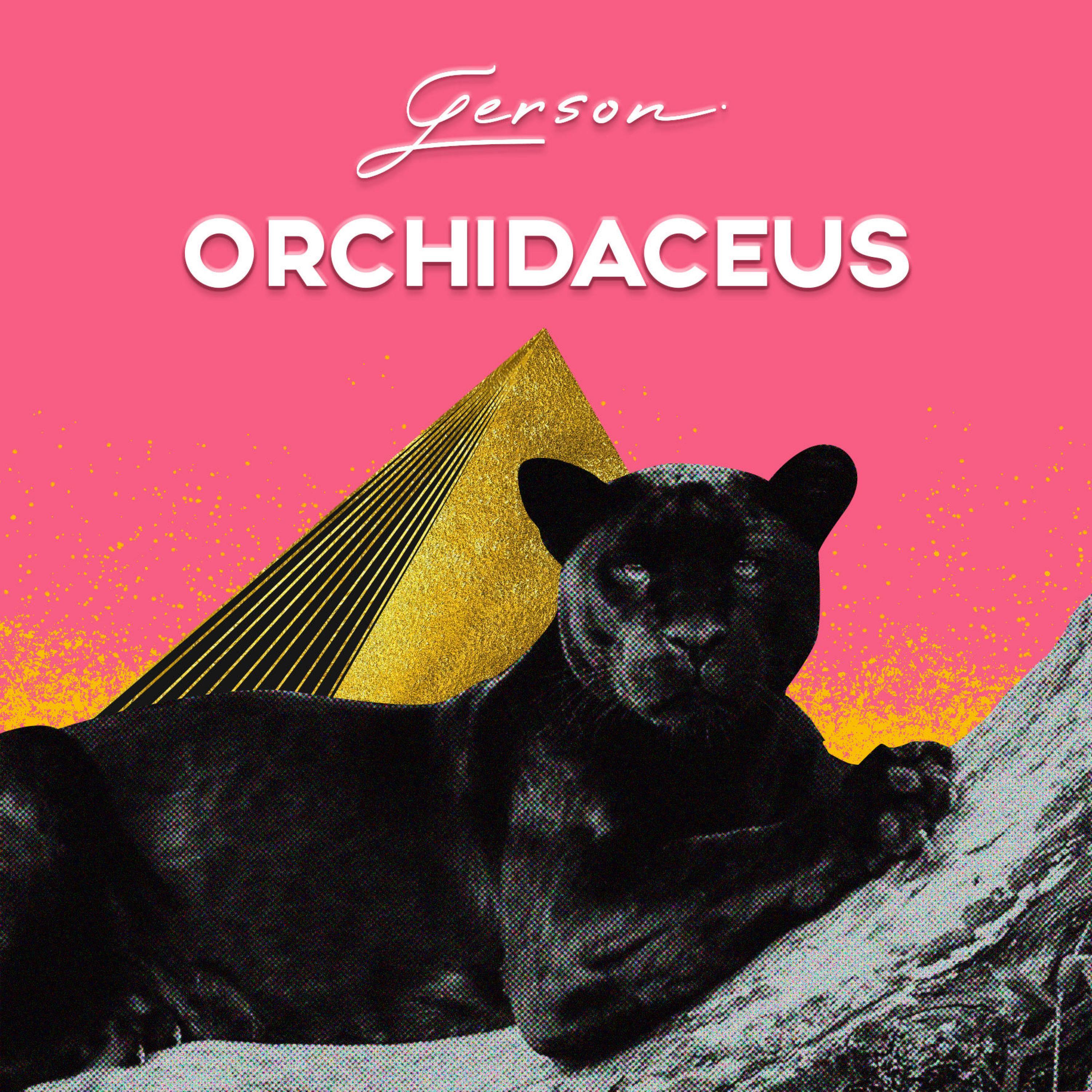 Orchidaceus