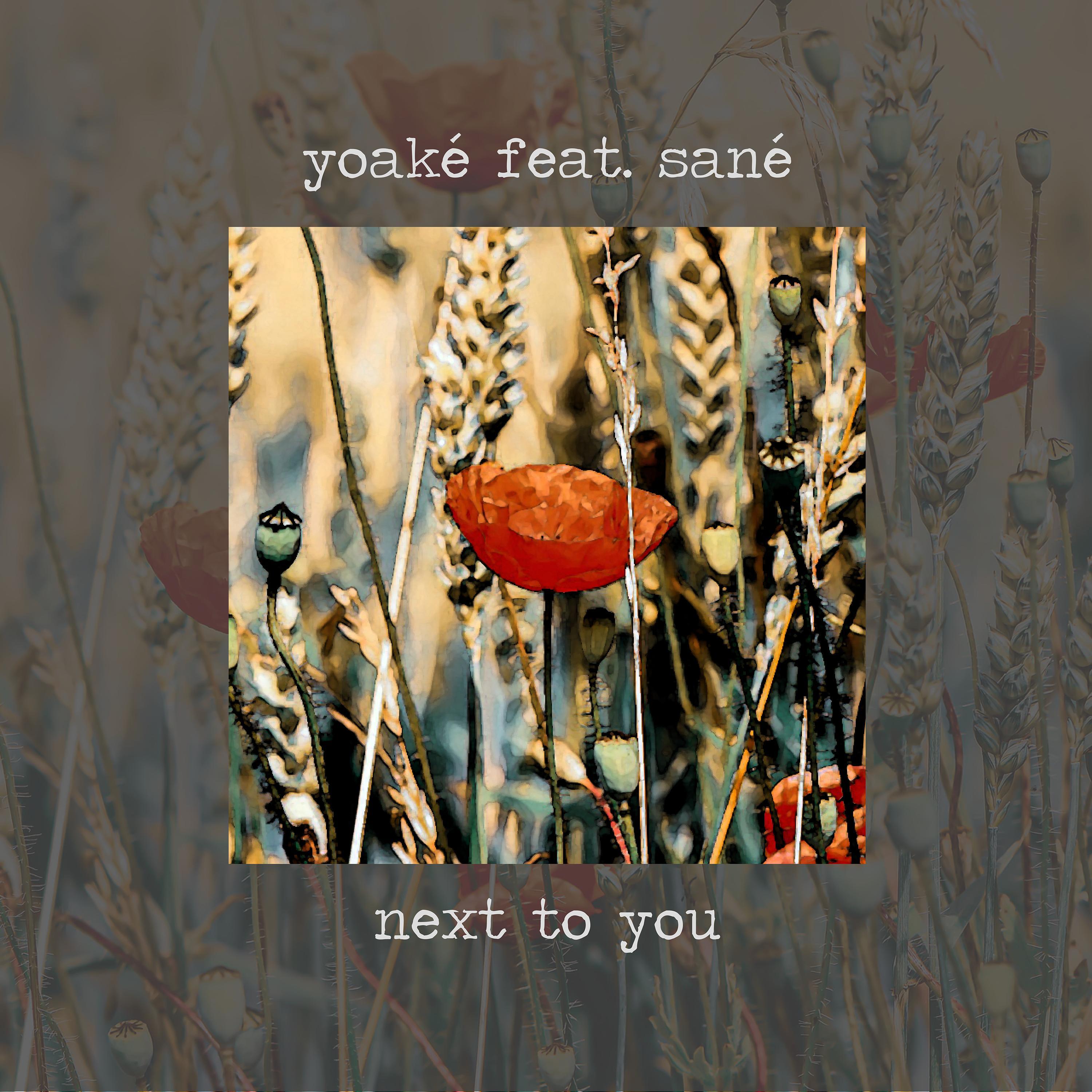 Next To You (feat. sané)