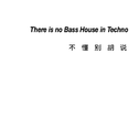 There is no Bass House in Techno专辑