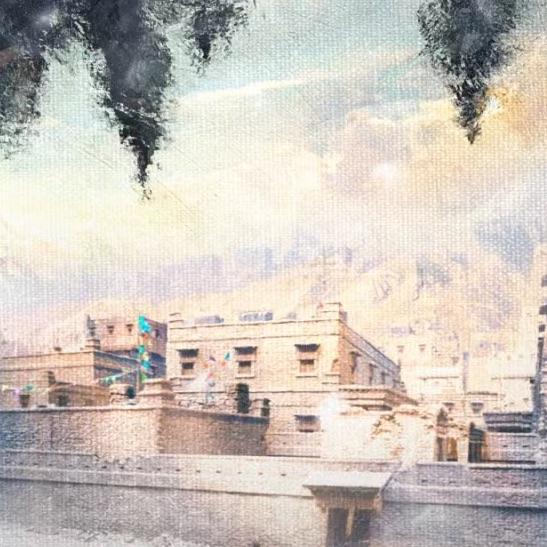 藏海花