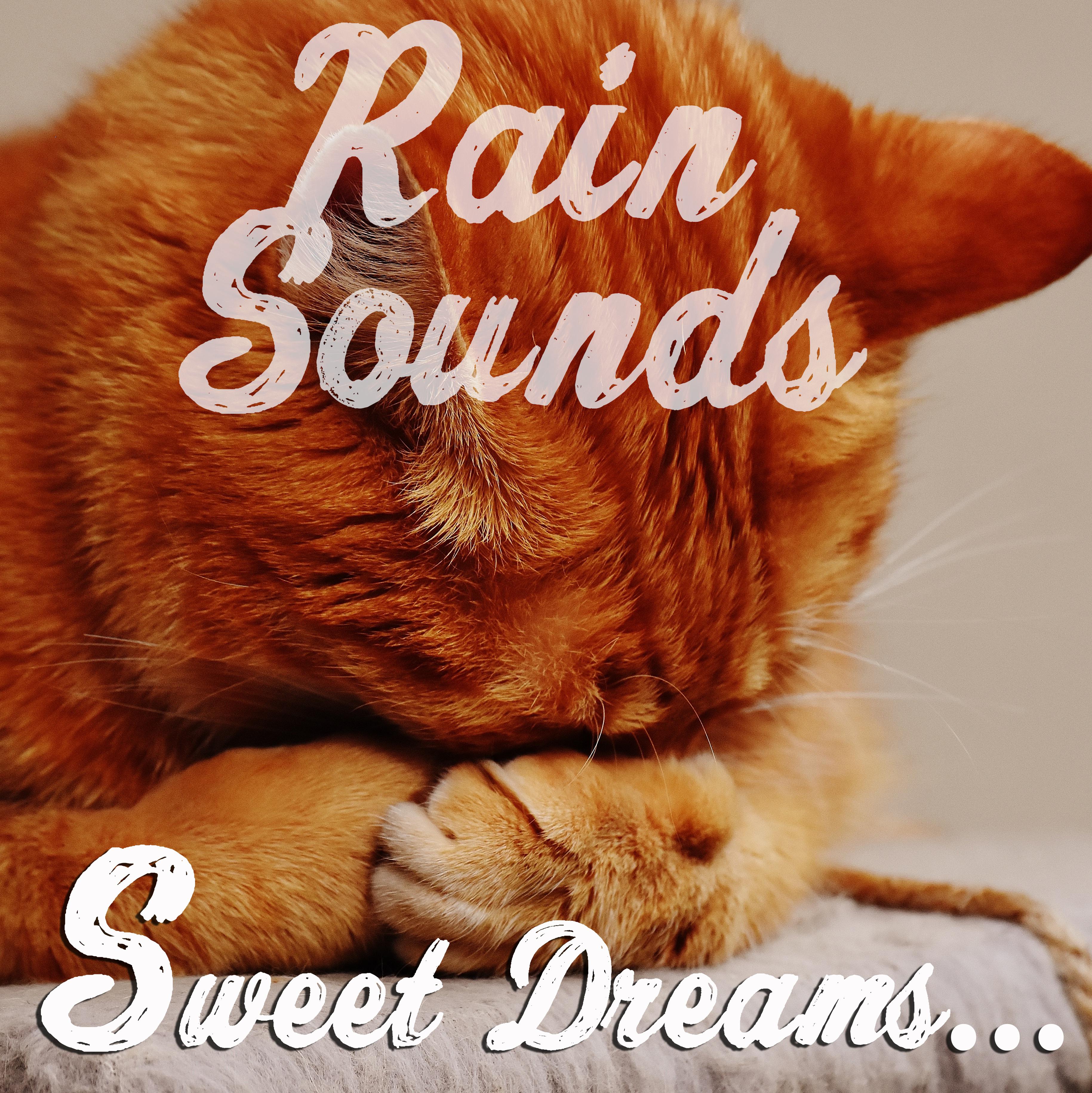 12 of the Best Rain and Nature Sounds. A Compilation for Looping and Playlisting for Sleep专辑