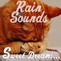 12 of the Best Rain and Nature Sounds. A Compilation for Looping and Playlisting for Sleep