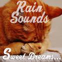 12 of the Best Rain and Nature Sounds. A Compilation for Looping and Playlisting for Sleep专辑