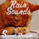 12 of the Best Rain and Nature Sounds. A Compilation for Looping and Playlisting for Sleep专辑